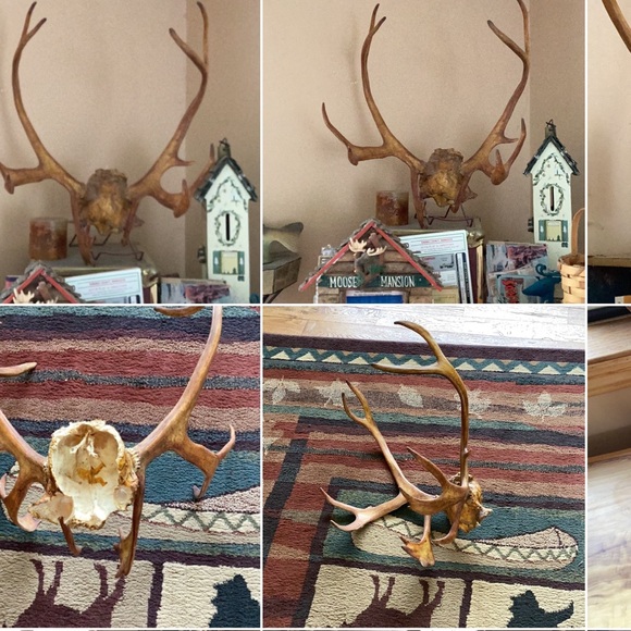 🦏 TRESKA VINTAGE DEADSTOCK LEOPARD NECKLACE KENYA AFRICA HAND CRAFTED 🐘 - Picture 12 of 16